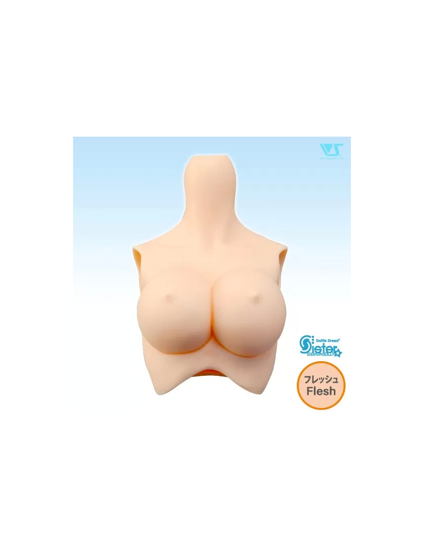 DDS-B-04 / L Shapely Bust / Normal