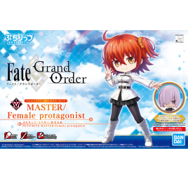 PETITRITS MASTER FEMALE Fate/Grand Order