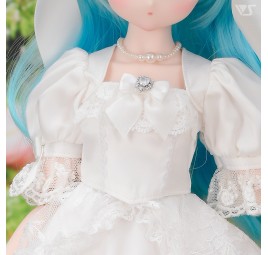 Princess Dress Set / Mini