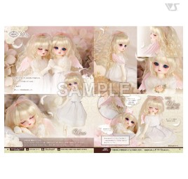 NOTIZIE VOLKS Vol.104