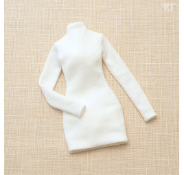 Kopie von Ribbed High Neck Knit Dress (Black)