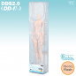 DDS Base Body 2.0 (DD-f³) Flesh