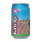 Dragon Ball Z – Vegito Apple Soda 330 ml | Japanese Collector’s Drink