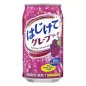 Hajikete Grape Soda 250ml